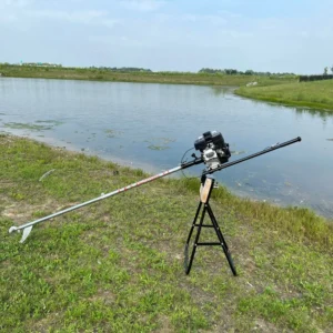 blac long tail mud skipper